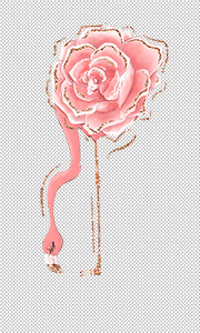 flamingo png