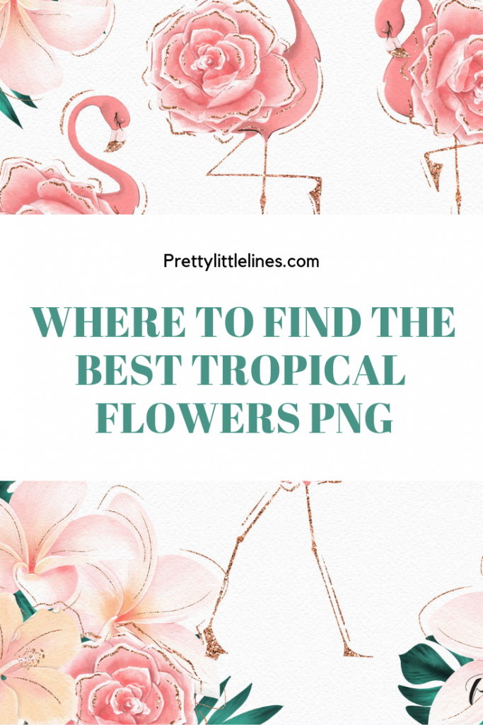 tropical flowers png | pretty little lines