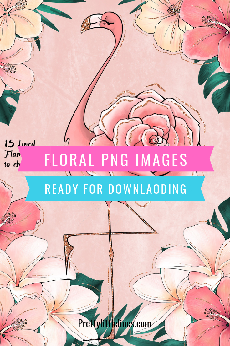flamingo clipart