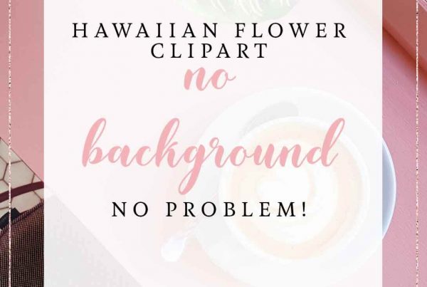 hawaiian flowers clipart no background