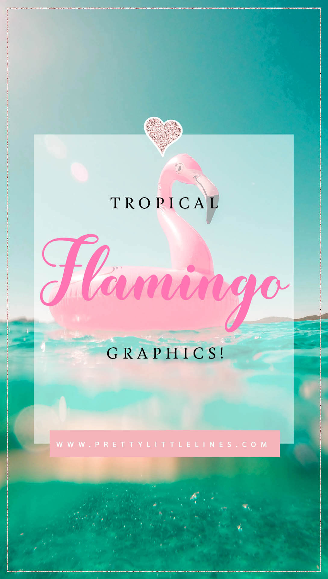 flamingo graphics