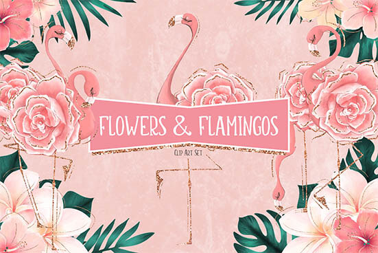 flamingo graphics